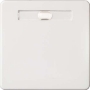 Cover plate for switch/push button white 233614