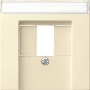 Central cover plate TAE 087601