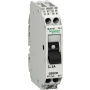 Miniature circuit breaker 2-p GB2CD21