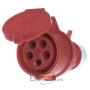 CEE coupling 16A 5p 6h 3136