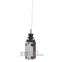 Spring-rod switch IP65 AT4/11-S/I/F