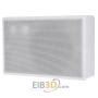 Speaker/Speaker box 6W (music) ZL135G-8 ws