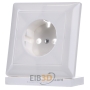Cover plate for switch white AS 520 PL WW