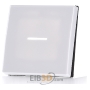 Cover plate for switch/push button white AS 591 KO5 WW