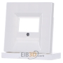 Plate TAE LS 969 T WW