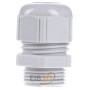 Cable gland / core connector M20 ST-M20x1,5 R7035 LGY