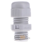 Cable gland / core connector M12 V-TEC VM12 LGR