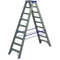 Aluminum step ladder PASSL 29 2x9 L: 2.11m