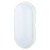 LED wall / ceiling light LB22 PLEDOLXXL 20W white, 05400654 - Promotional item