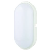 LED-Wand- / Deckenleuchte LB22 PLEDOLXXL 20W wei, 05400654 - Aktionsartikel