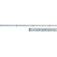 LED strip light PLEDSRGBW 24V RGB+3000K 15W/m L:500cm