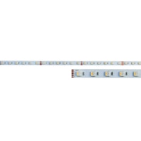 LED strip light PLEDSRGBW 24V RGB+3000K 15W/m L:500cm