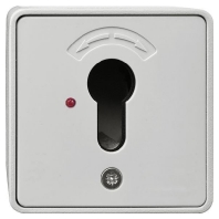 Push button 2 make contacts (NO) grey 4594