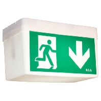 Emergency and information light BD21/Kombi-GL/W/D, 93001 - Promotional item