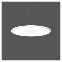 LED-Pendelleuchte 3000K, 312158.002 - Aktionsartikel