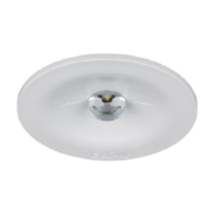 LED-Sicherheitsleuchte GuideLedSL13031.2CGS