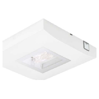 LED-Einzelbatterie-Leuchte m.autom. Funkt.test 13812 1-8/D CGLine+