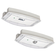LED-Sicherheitsleuchte I-P65 Plus L CG-S