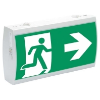LED-Rettungszeichenleuchte RAL7035 IP41 SV EURO 2-3/D LED