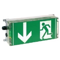 Ex-proof emergency/security luminaire 3h 12191030003