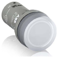 Indicator light clear 48...60VAC/DC CL2-507C
