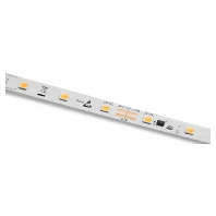 Light ribbon-/hose/-strip 24V white 50413128
