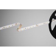 Light ribbon-/hose/-strip 24V white