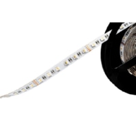 Light ribbon-/hose/-strip 24V RGBW