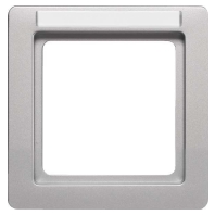 Frame 1-gang aluminium 10116014