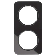 Rahmen Glas/sw 2fach 10122116