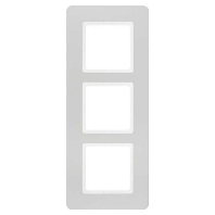 Frame 3-gang aluminium 10136184