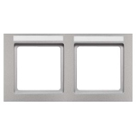 Frame 2-gang aluminium 10226094