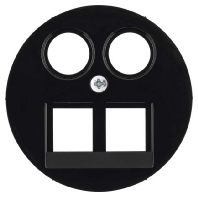 Central cover plate 14452045