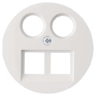 Central cover plate 14452089