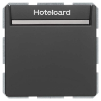 Relais-Schalter Hotelcard anthrazit samt 16406096