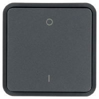 Cover plate for switch/push button grey 30423545