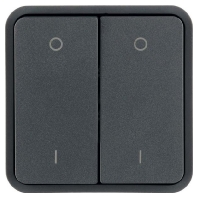 Cover plate for switch/push button grey 30423555