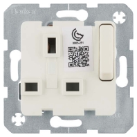 Socket outlet (receptacle) 53420212