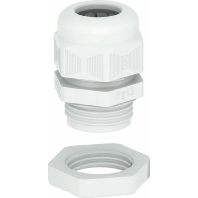 Cable gland / core connector PG48 V-TEC PG48+ LGR