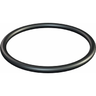 Sealing ring for M32 thread 171 M32