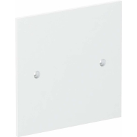 Cover plate for installation column VH-P1 RW