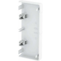 End piece for device mount wireway GK-E53130LGR