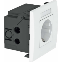 Socket outlet (receptacle) SDE-RW D0RT1B