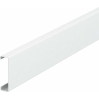 Oberteil Systemffnung 45x12x2000mm,RAL9010 GS-OT50RW