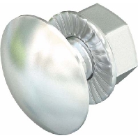 Flachrundschraube M6x12 FRSB 6x12 A4