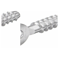 Ringanker 6x40mm +Setzwerkzeug MMS+ R 6x40