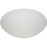 Deckenleuchte AGL 1x60W opal-matt 41046