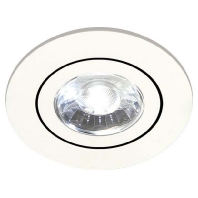 Downlight/spot/floodlight 12321073