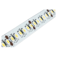 Light ribbon-/hose/-strip 24V white 15206003