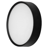 LED-Wandanbauleuchte 10036183